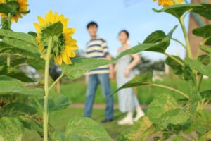 国際結婚するなら韓国人女性と！？日韓国際結婚の最新事情